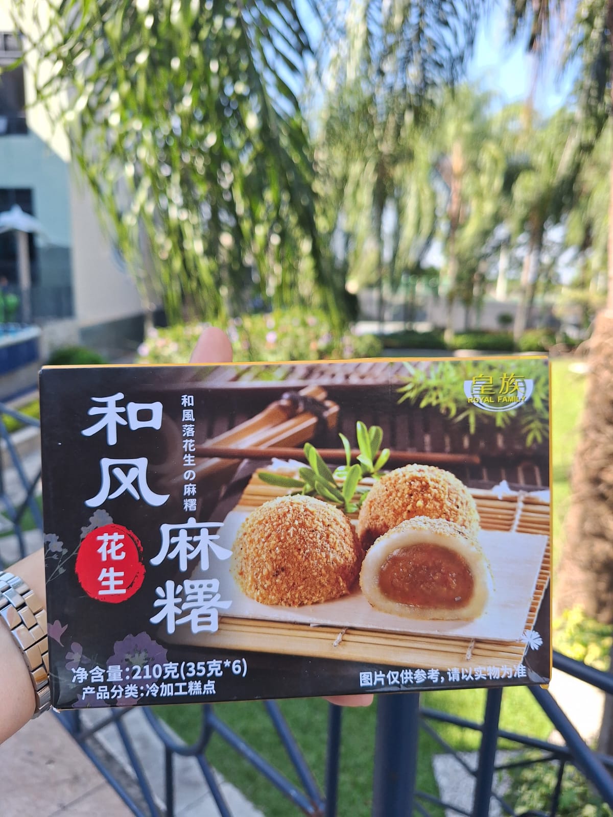 MOCHIS DE MANGO Y MANI